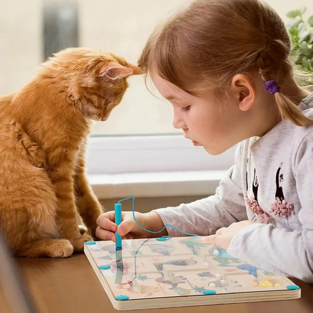DinoMaze Magnetyczny Labirynt – Zabawka Edukacyjna dla Dzieci od 3 Lat