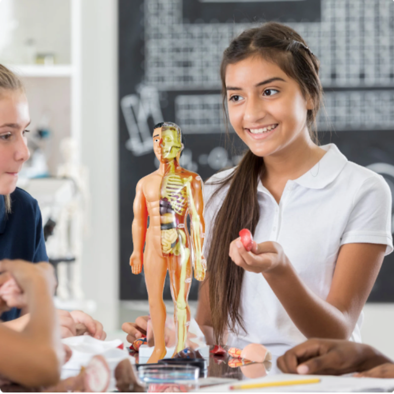 Zabawka Anatomiczna dla Dzieci – Edukacyjny Zestaw do Budowy 3D Ludzkiego Ciała 5+